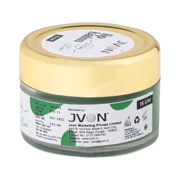 JVON kiwi lip balm with Vitamin E 15gm - Image 3